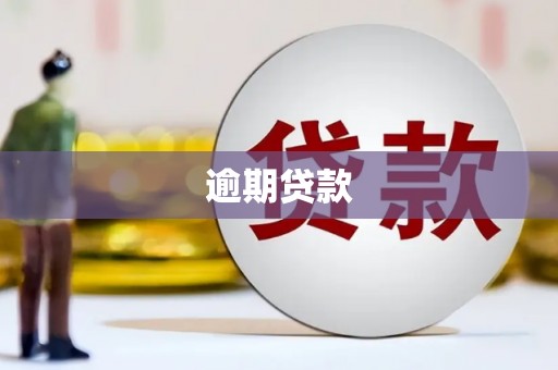 龙游逾期贷款