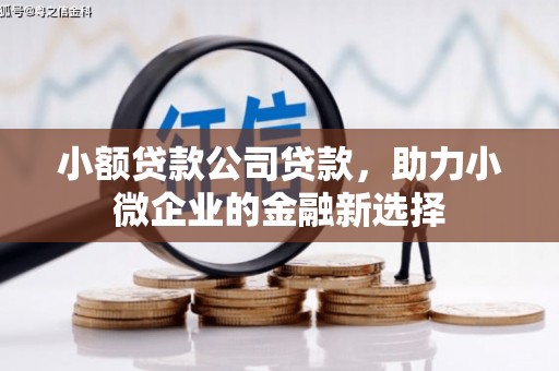 龙游小额贷款公司贷款，助力小微企业的金融新选择