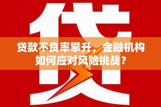龙游贷款不良率攀升，金融机构如何应对风险挑战？