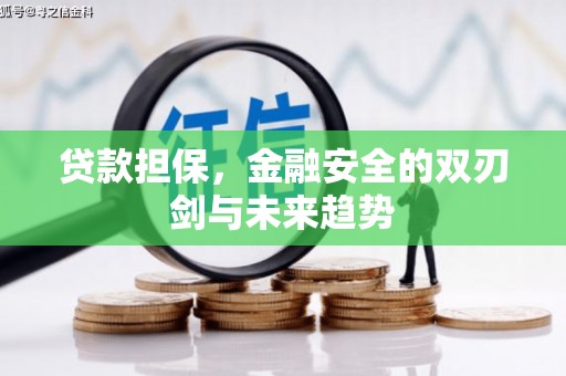 龙游贷款担保，金融安全的双刃剑与未来趋势