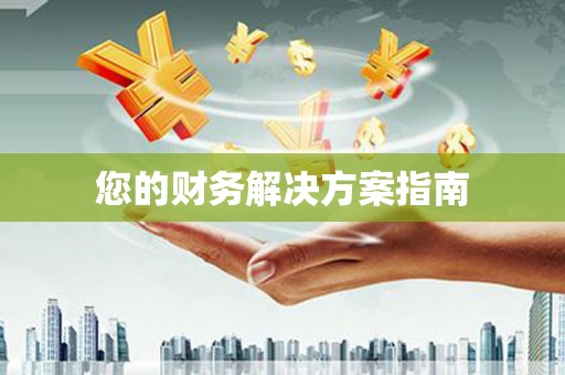 龙游您的财务解决方案指南