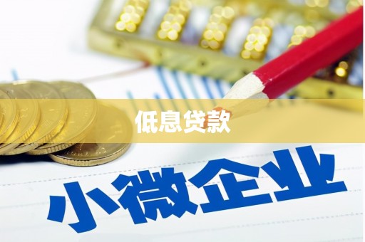 龙游低息贷款