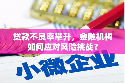 龙游贷款不良率攀升，金融机构如何应对风险挑战？