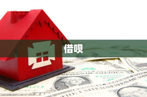 龙游借呗