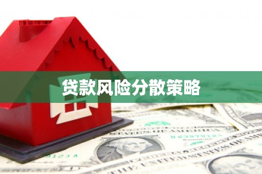 龙游贷款风险分散策略