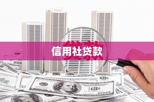 龙游信用社贷款