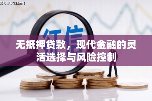 龙游无抵押贷款，现代金融的灵活选择与风险控制