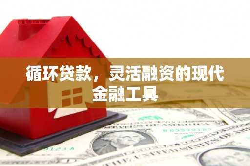 龙游循环贷款，灵活融资的现代金融工具