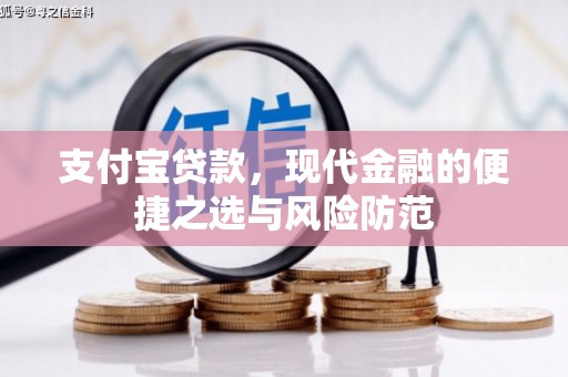 龙游支付宝贷款，现代金融的便捷之选与风险防范