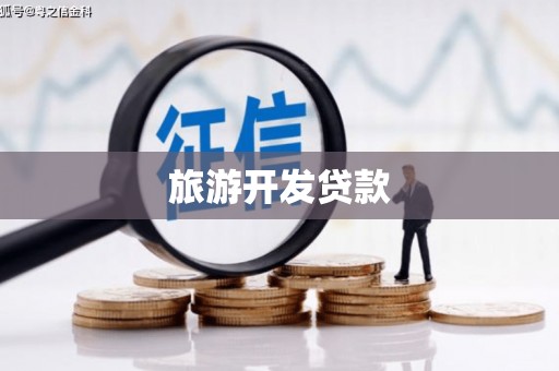 龙游旅游开发贷款