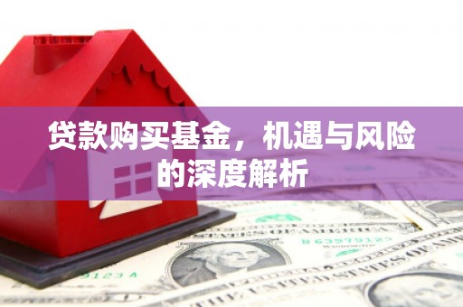 龙游贷款购买基金，机遇与风险的深度解析