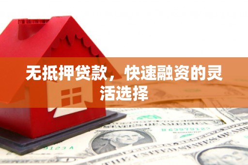 龙游无抵押贷款，快速融资的灵活选择