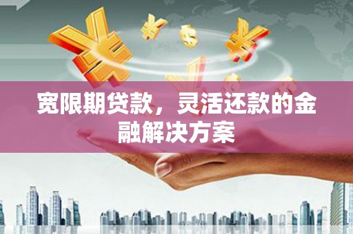 龙游宽限期贷款，灵活还款的金融解决方案