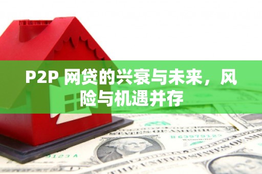 龙游P2P 网贷的兴衰与未来，风险与机遇并存