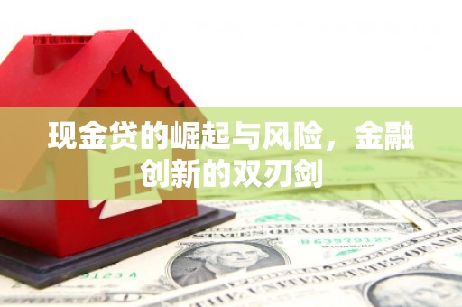 龙游现金贷的崛起与风险，金融创新的双刃剑