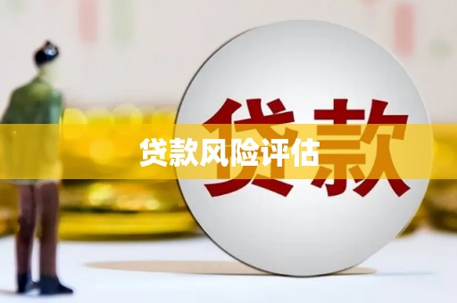 龙游贷款风险评估