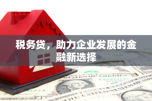 龙游税务贷，助力企业发展的金融新选择