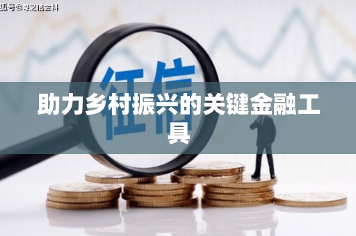 龙游助力乡村振兴的关键金融工具