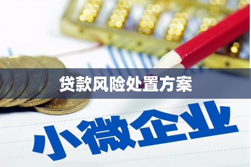 龙游贷款风险处置方案