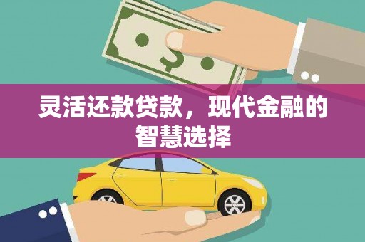 龙游灵活还款贷款，现代金融的智慧选择