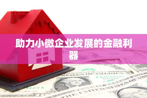 龙游助力小微企业发展的金融利器