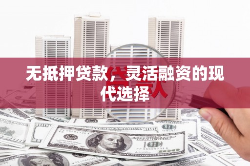 龙游无抵押贷款，灵活融资的现代选择