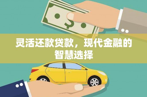 龙游灵活还款贷款，现代金融的智慧选择