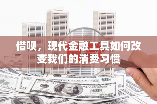 龙游借呗，现代金融工具如何改变我们的消费习惯