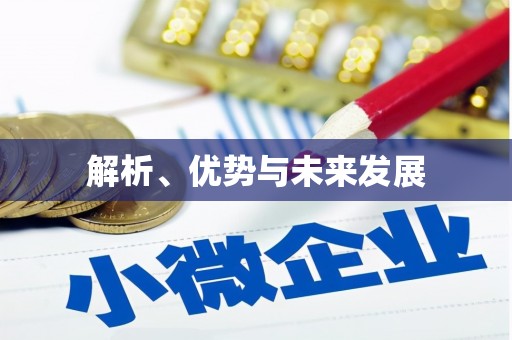 龙游解析、优势与未来发展