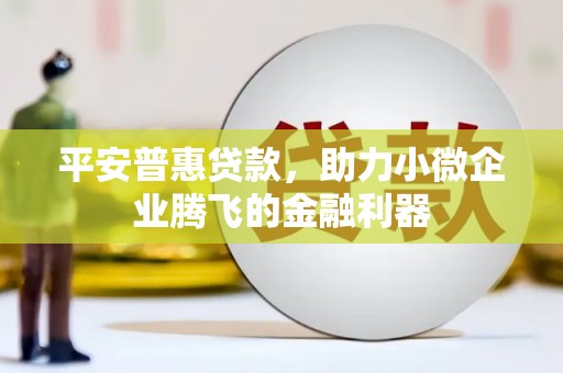 龙游平安普惠贷款，助力小微企业腾飞的金融利器