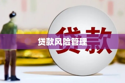 龙游贷款风险管理