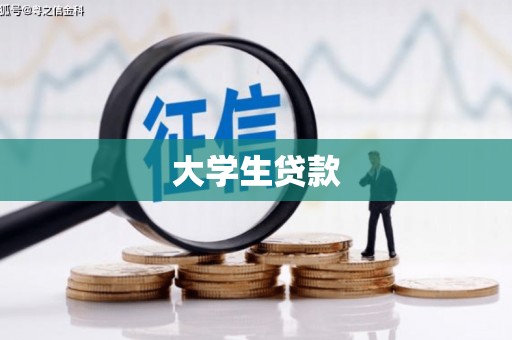 龙游大学生贷款