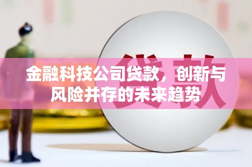 龙游金融科技公司贷款，创新与风险并存的未来趋势