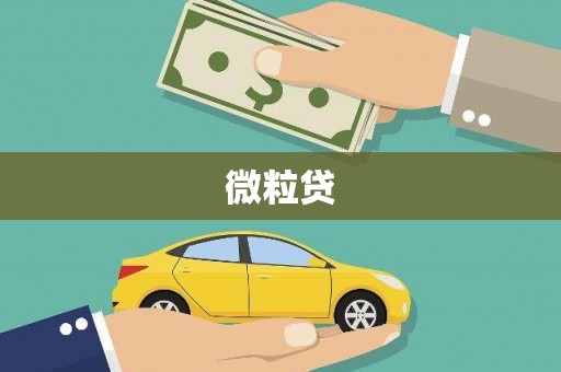 龙游微粒贷