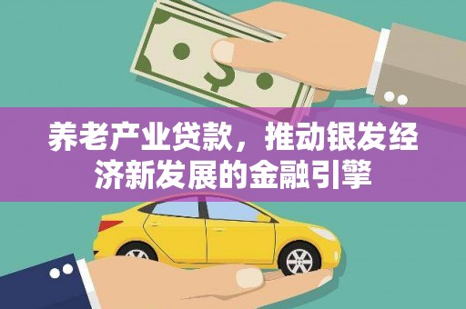 龙游养老产业贷款，推动银发经济新发展的金融引擎
