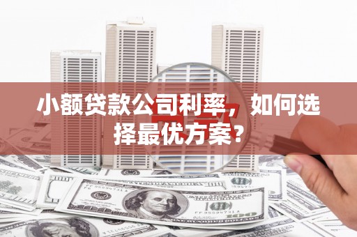 龙游小额贷款公司利率，如何选择最优方案？