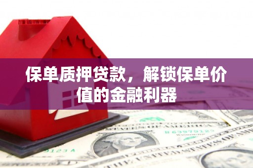 龙游保单质押贷款，解锁保单价值的金融利器