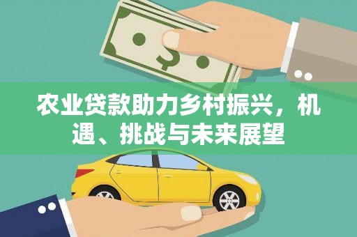 龙游农业贷款助力乡村振兴，机遇、挑战与未来展望