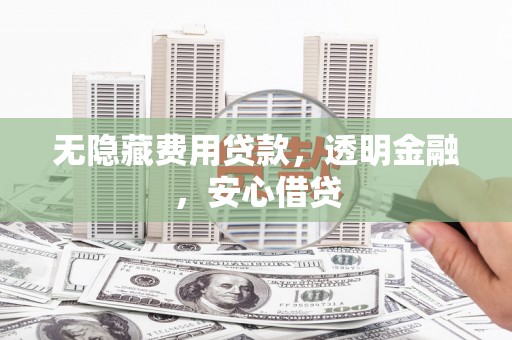 龙游无隐藏费用贷款，透明金融，安心借贷