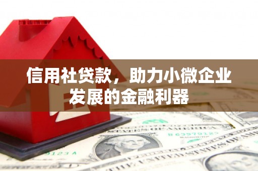 龙游信用社贷款，助力小微企业发展的金融利器