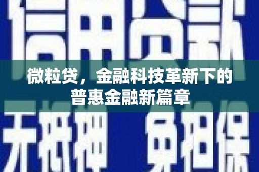 龙游微粒贷，金融科技革新下的普惠金融新篇章
