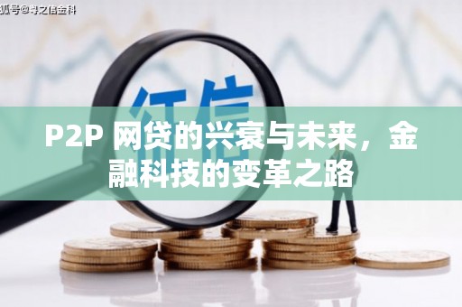龙游P2P 网贷的兴衰与未来，金融科技的变革之路