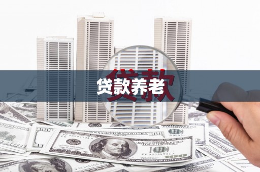 龙游贷款养老