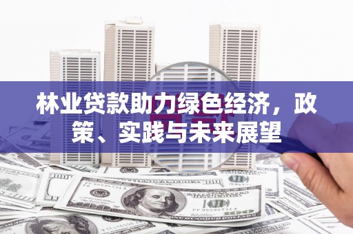 龙游林业贷款助力绿色经济，政策、实践与未来展望