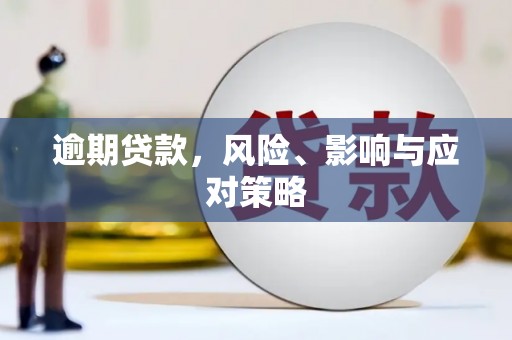 龙游逾期贷款，风险、影响与应对策略
