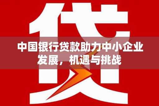 龙游中国银行贷款助力中小企业发展，机遇与挑战