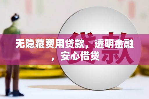龙游无隐藏费用贷款，透明金融，安心借贷