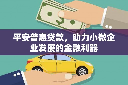 龙游平安普惠贷款，助力小微企业发展的金融利器
