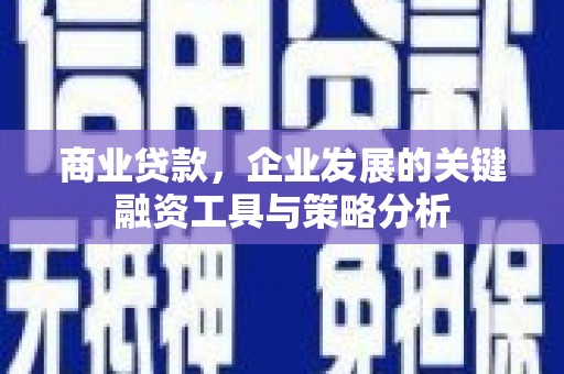龙游商业贷款，企业发展的关键融资工具与策略分析