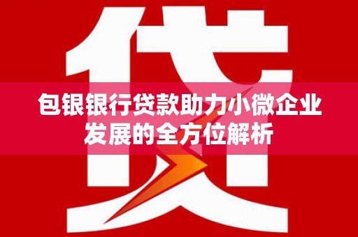 龙游包银银行贷款助力小微企业发展的全方位解析